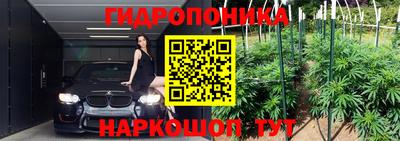 прущие грибы Мариинск