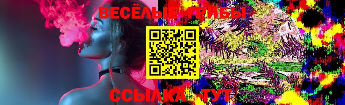 Тулун  Галлюциногенные грибы Psilocybine cubensis  Вход с VPN  Псилоцибиновые грибы прущие грибы 
