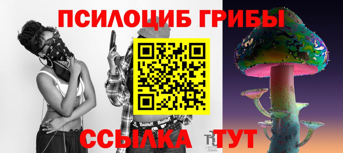 Галлюциногенные грибы Magic Shrooms  дарнет шоп  Тулун 