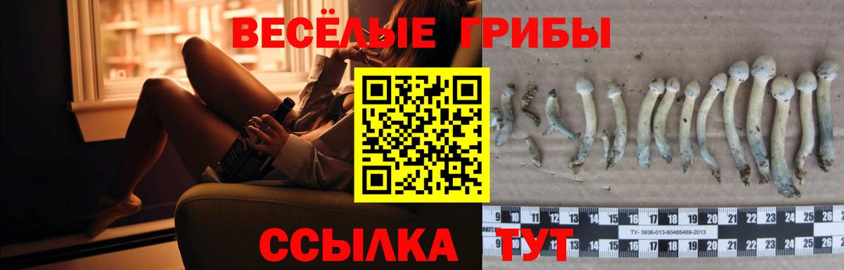 Галлюциногенные грибы MAGIC MUSHROOMS Тулун